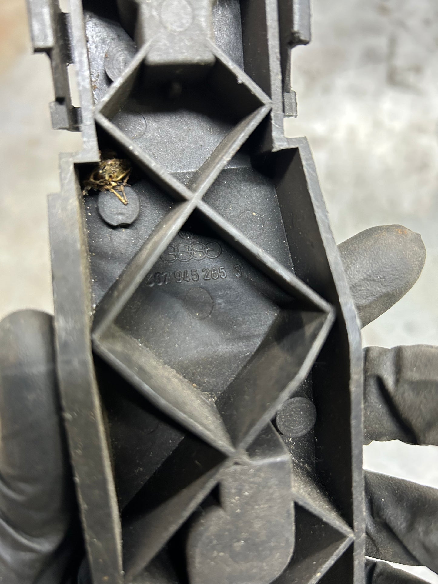 1987-92 Fox Left Rear Tail Light Bulb Tray