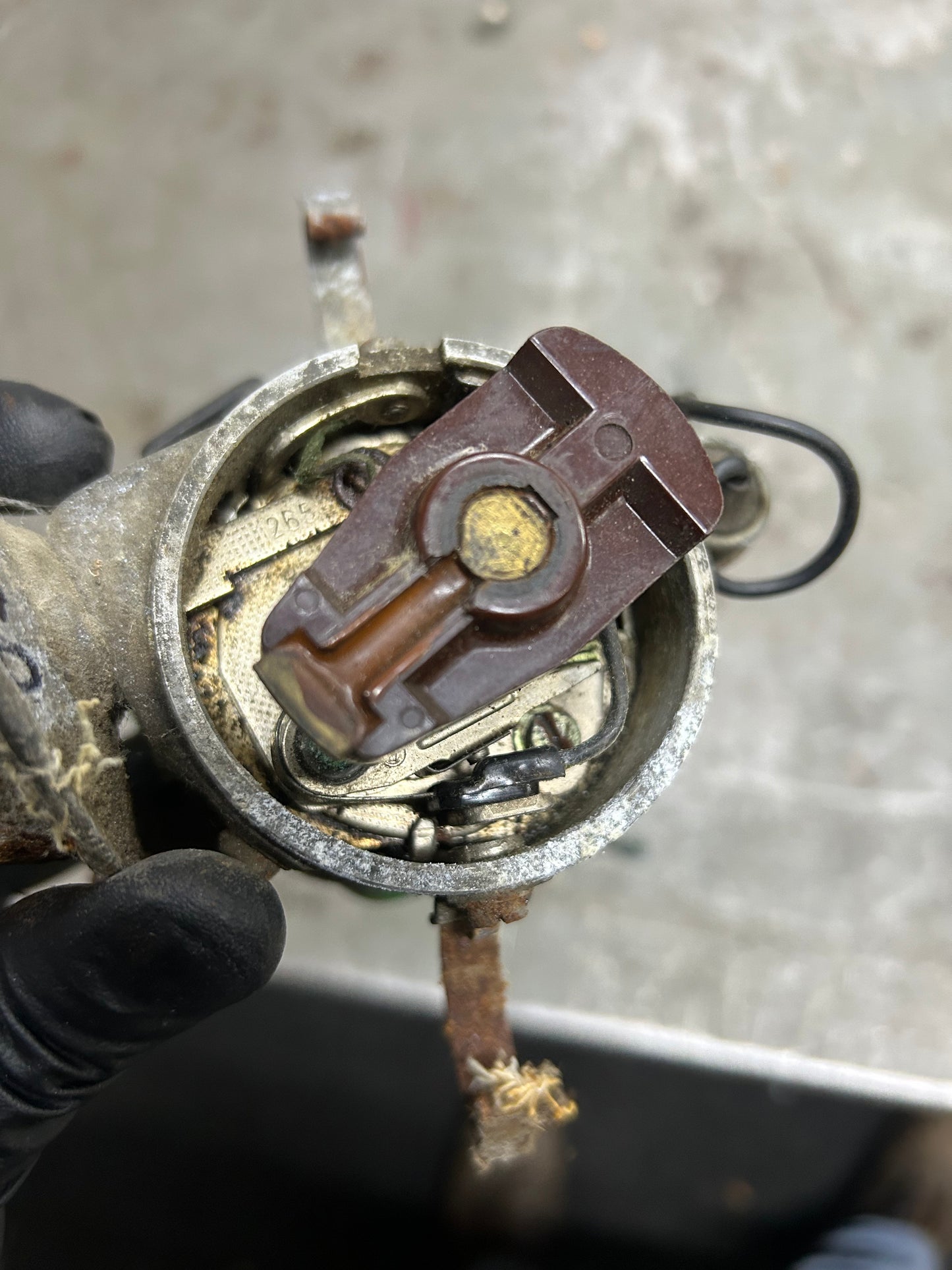 1970 Type 3 F.I. Automatic Distributor