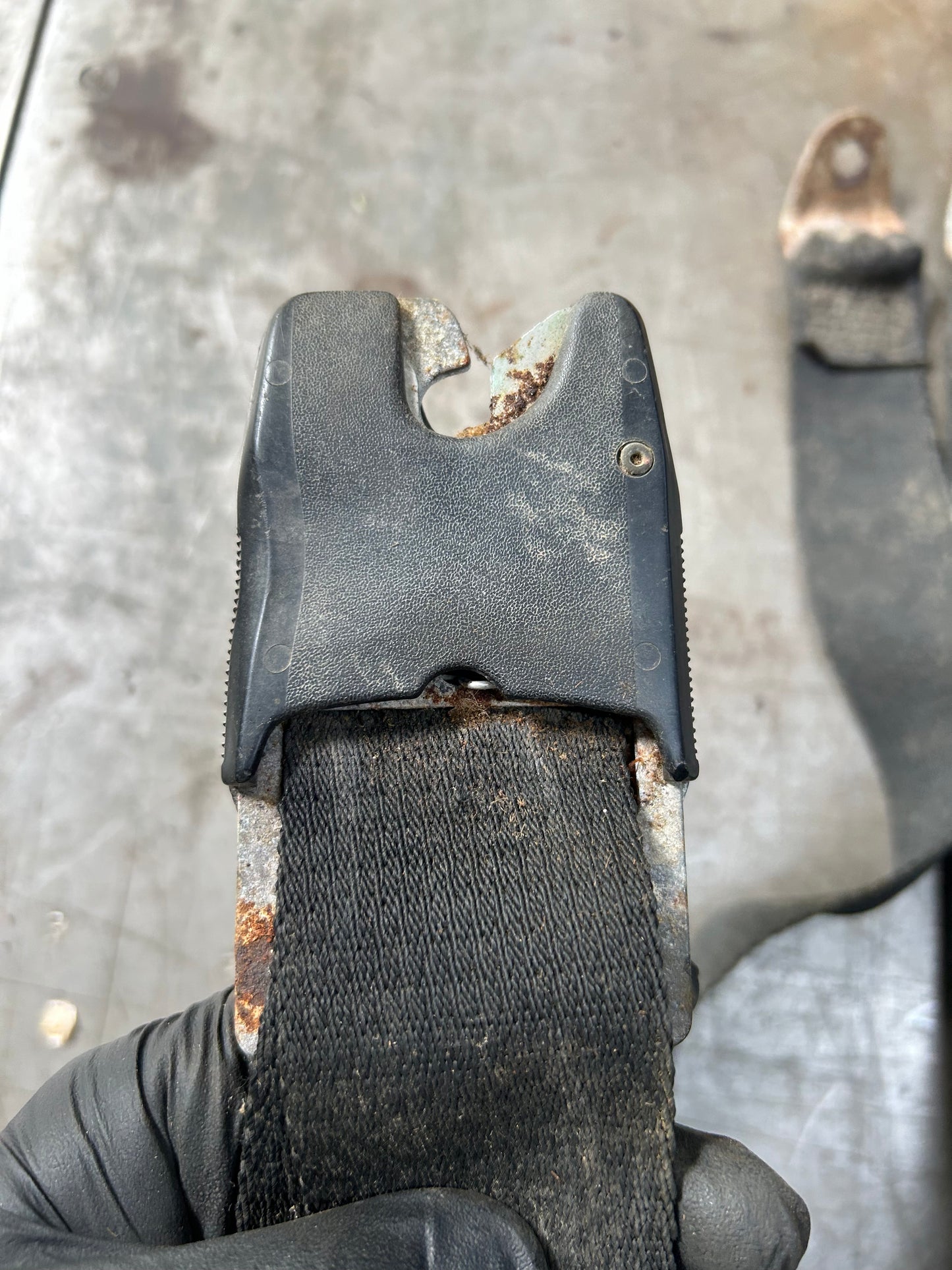 1968-69 Type 1 Beetle Lobster Claw Front Seat Belt